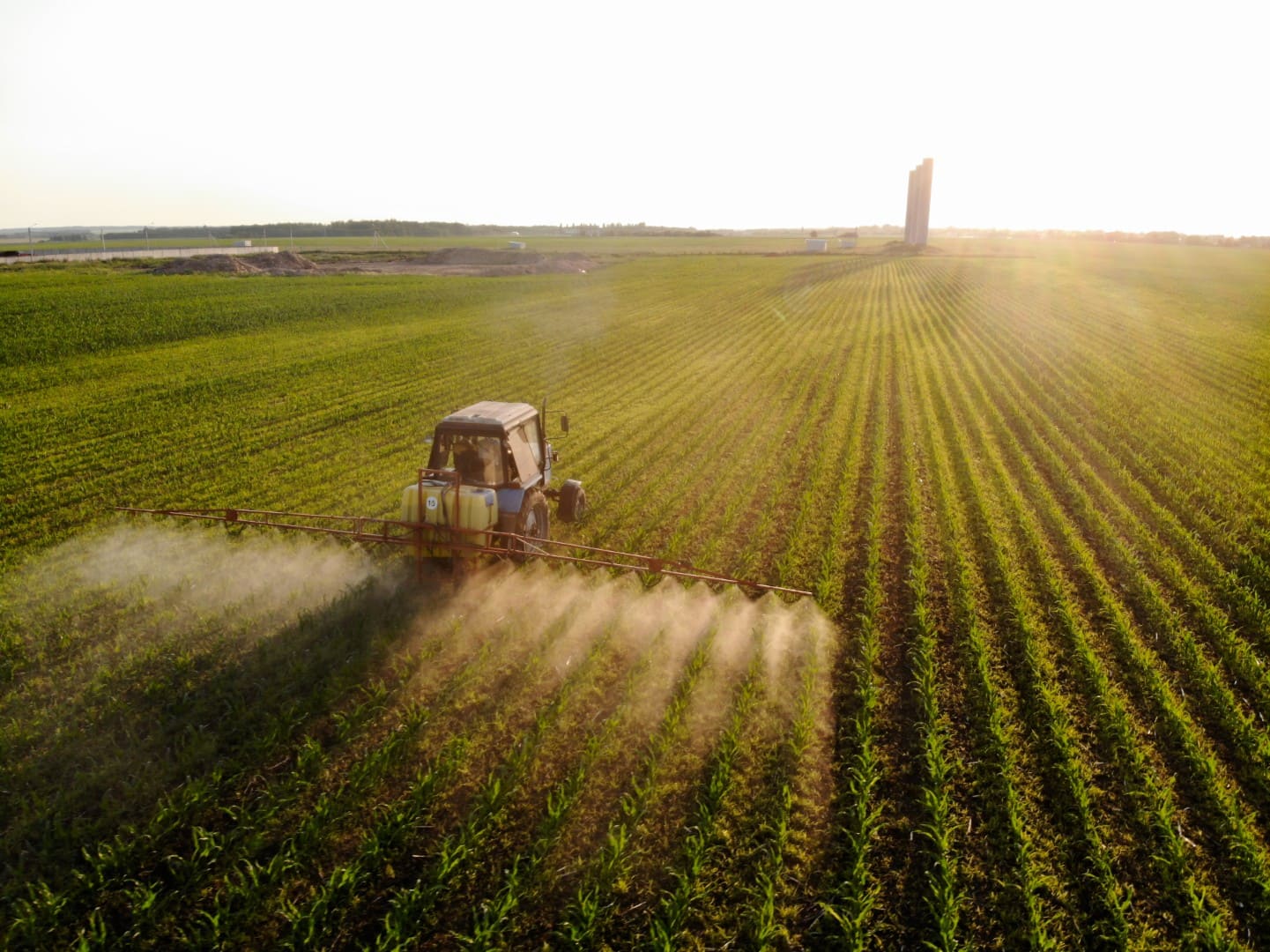 foto home GT agro Grande